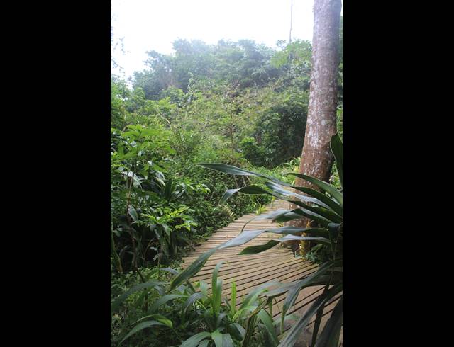 4 BEDROOM HOUSE FOR SALE IN SHEFFIELD BEACH